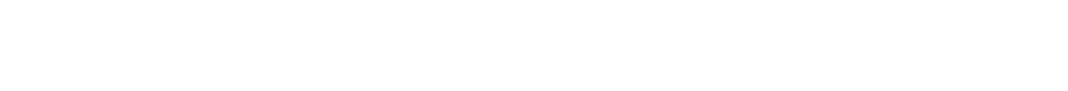 big-logo